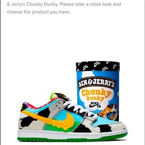 Nike Sb Chunky Dunky shoes new and authentic box